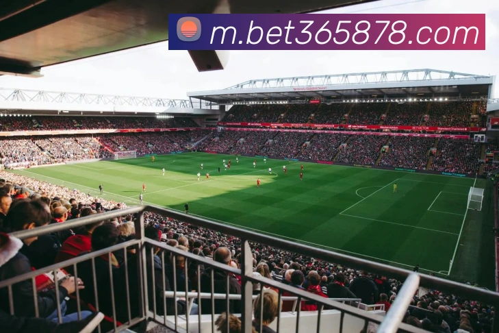 bet365中国官网平台生态图